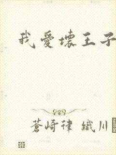 我爱坏王子