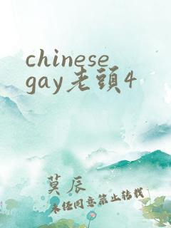 chinesegay老头4
