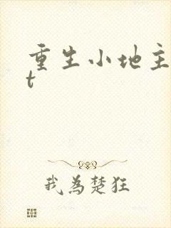 重生小地主txt