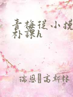 青梅从小摸到大补课h