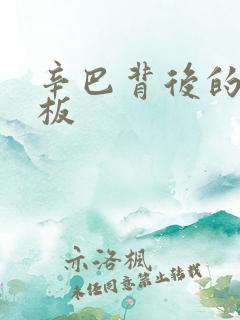 辛巴背后的人老板