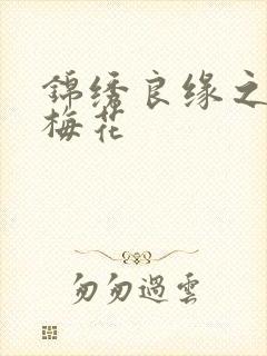 锦绣良缘之驿寄梅花