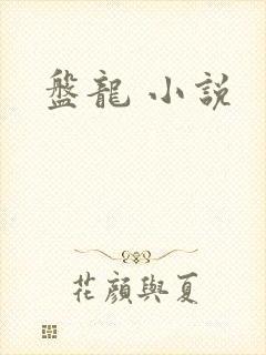 盘龙 小说