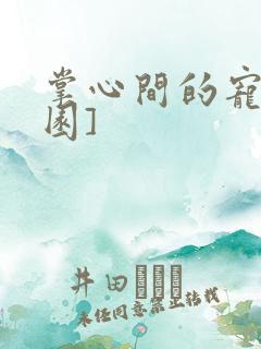 掌心间的宠[校园]