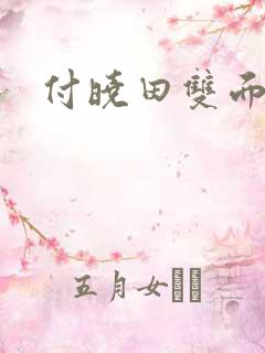 付晓田双面间谍