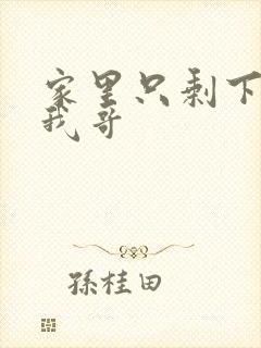 家里只剩下我和我哥