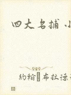 四大名捕 小说