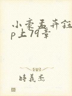 小豪孟卉钰慧三p上79章