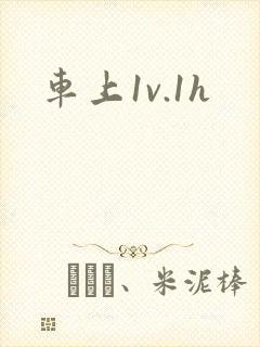 车上1v.1h