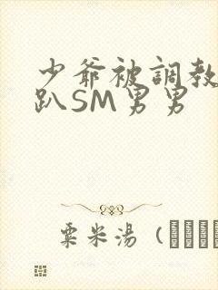 少爷被调教室跪趴SM男男