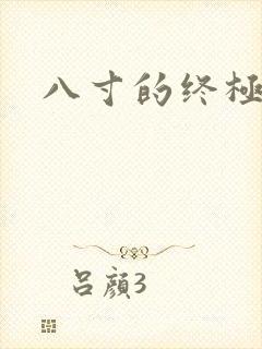 八寸的终极凶器