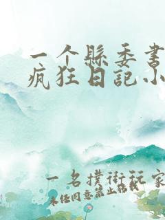 一个县委书记的疯狂日记小说