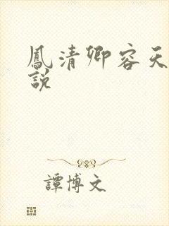 凤清卿容天凌小说