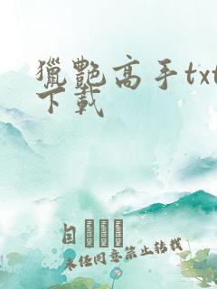 猎艳高手txt下载