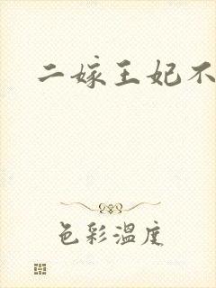 二嫁王妃不好惹