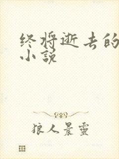 终将逝去的青春小说