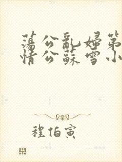 荡公乱妇第1章情公苏雪小说