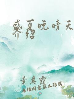 盛夏晚晴天剧情介绍