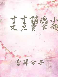 寸寸销魂小说全文免费笔趣阁