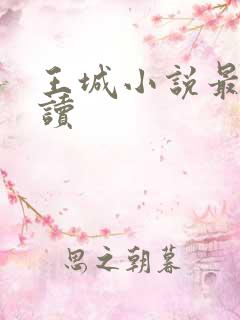 王城小说最近阅读