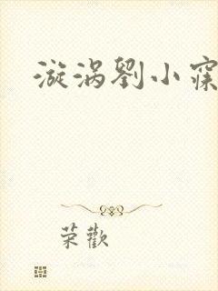漩涡刘小寐