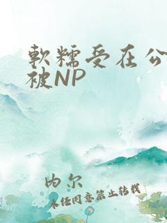软糯受在公交车被NP