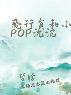 飞行员和小空乘POP沈沉