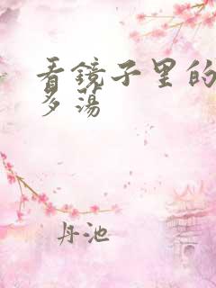 看镜子里的你有多荡