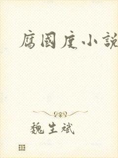 腐国度小说