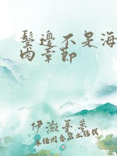 鬓边不是海棠红肉章节