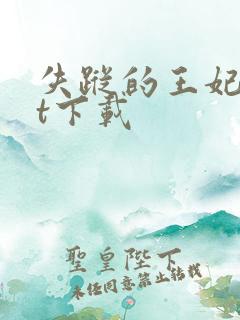 失踪的王妃txt下载