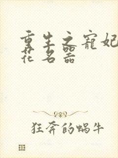 重生之宠妃白莲花名器