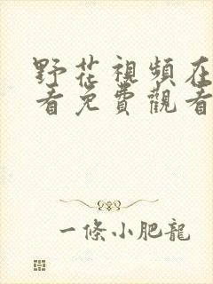 野花视频在线观看免费观看最新章节