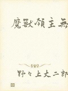 魔兽领主无弹窗