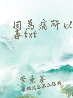 因为痛所以叫青春txt