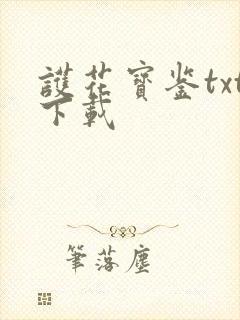 护花宝鉴txt下载