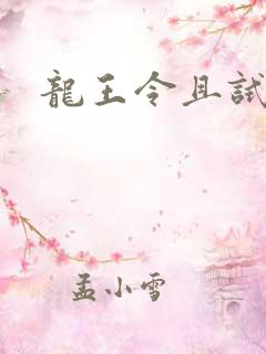 龙王令且试天下