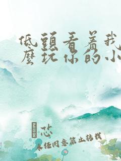 低头看着我是怎么玩你的小说