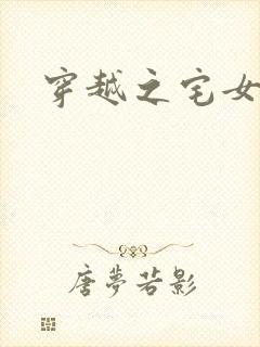 穿越之宅女夫人