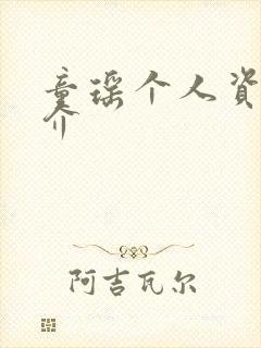 童瑶个人资料简介