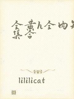 全黄h全肉短篇集合