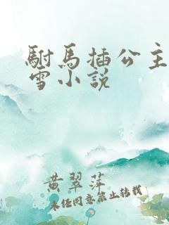 驸马插公主恋战雪小说