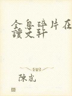 全息碎片在线阅读文轩