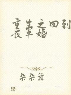 重生之回到新婚夜军婚