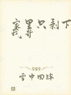 家里只剩下我和我哥