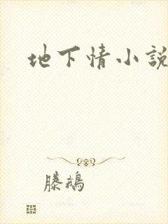 地下情小说