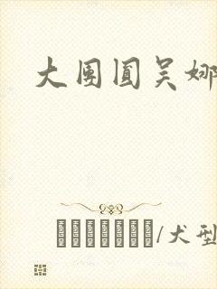 大团圆吴娜高敏