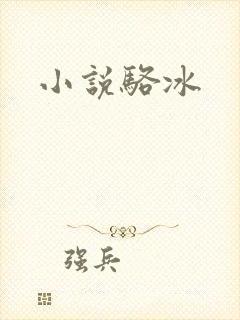 小说骆冰