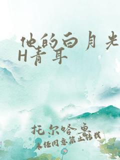 他的白月光HVH青耳