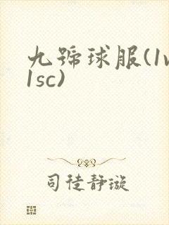 九号球服(1v1sc)